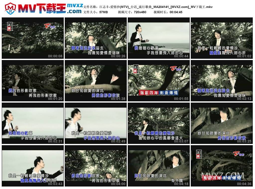 江志丰-爱情沙(MTV)_台语_流行歌曲_MA204141